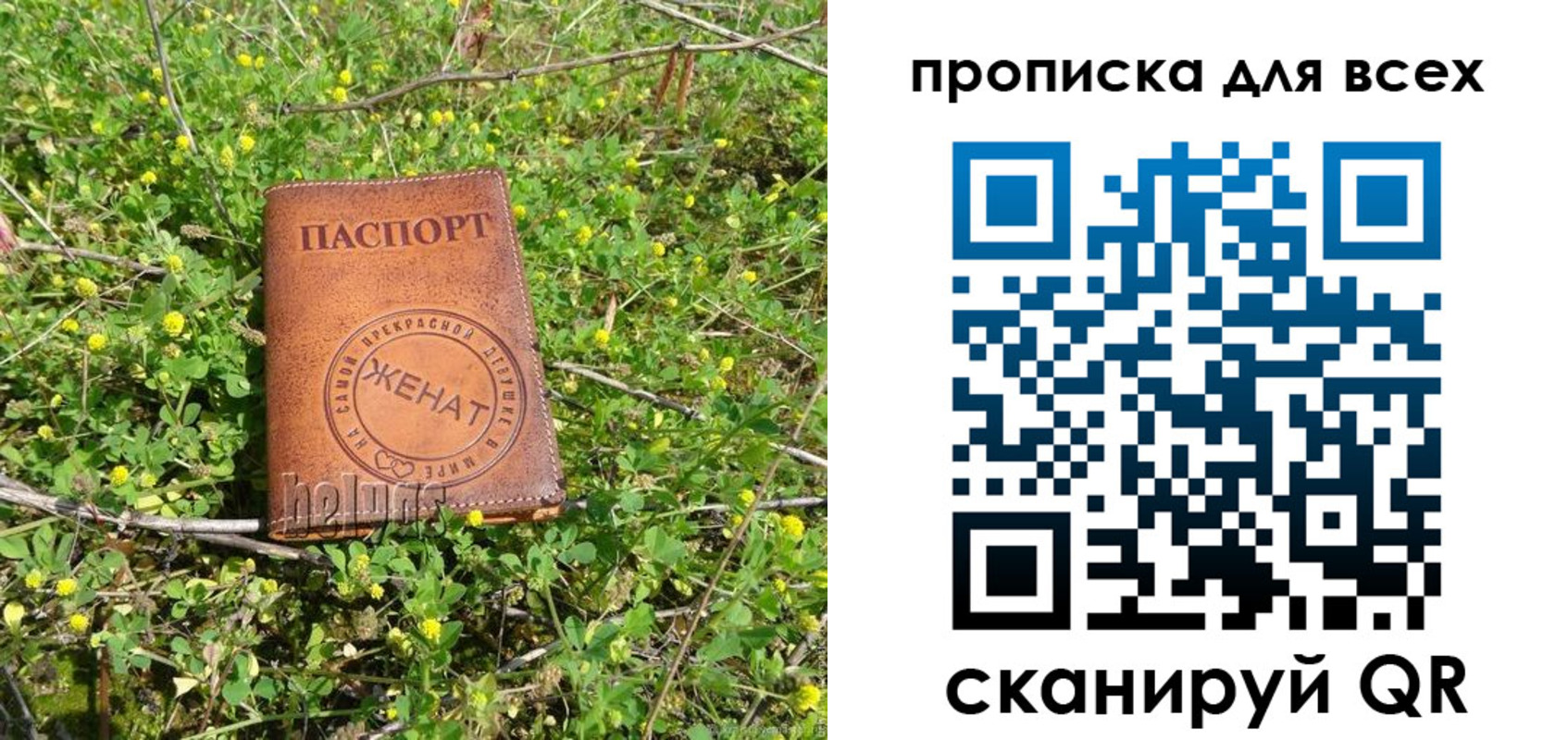 прописка поиск в Балахне